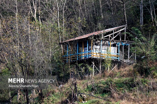 ساختمان هایی که اهالی با چوب و پلاستیک برای خود ساخته اند تا سرپناهی داشته باشند