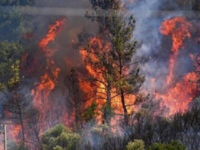 حریق در گونیلی کلاله؛ نیروهای منابع طبیعی در خط اول مهار آتش