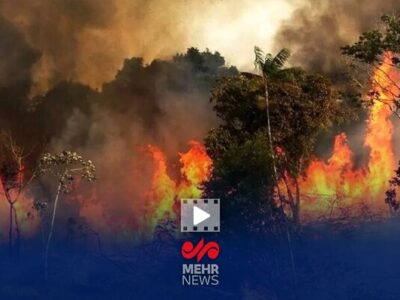 برگزاری دوره‌های تخصصی برای جلوگیری از آتش سوزی جنگل‌ها