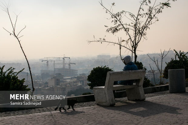 هرگونه فعالیت ورزشی در فضای باز فعلا ممنوع است