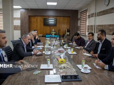 مدیرکل شیلات بوشهر: ظرفیت علمی استان در صنعت شیلات استفاده می‌شود