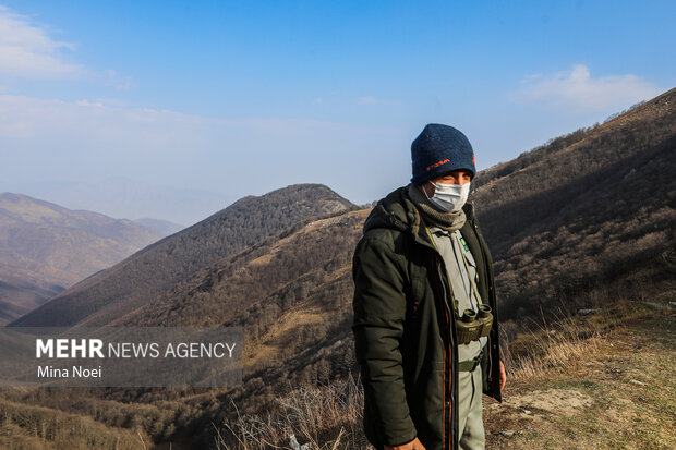 دیزمار پس از آتش