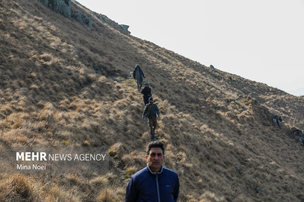 دیزمار پس از آتش