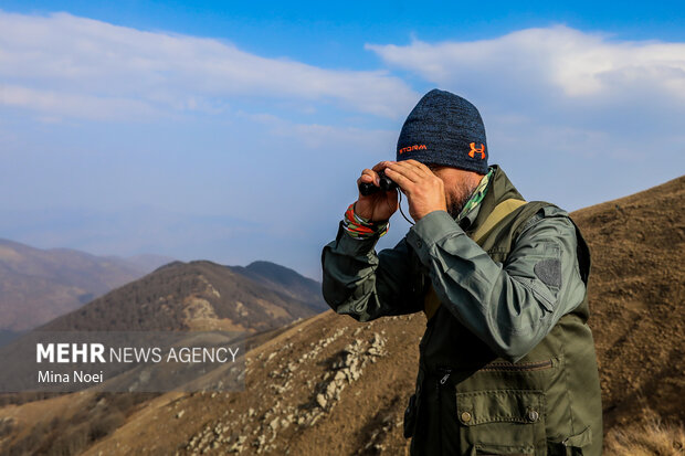 دیزمار پس از آتش