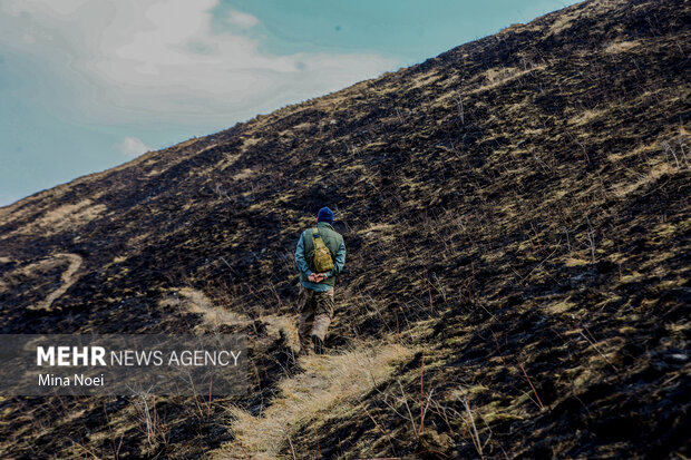 دیزمار پس از آتش