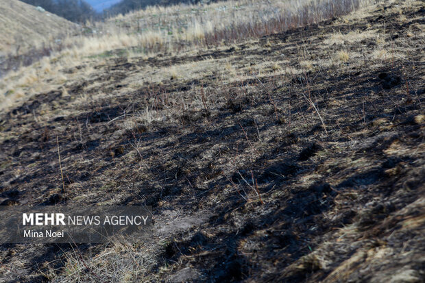 دیزمار پس از آتش