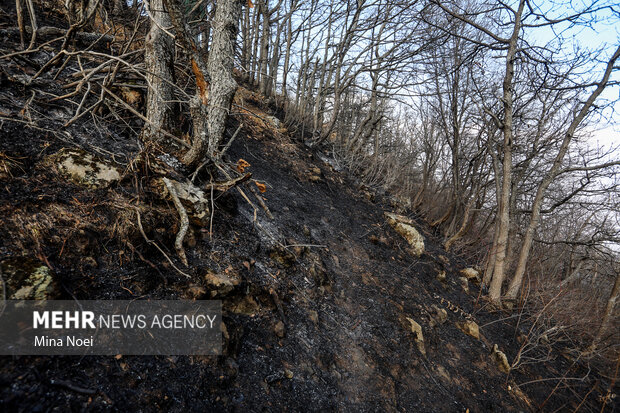 دیزمار پس از آتش