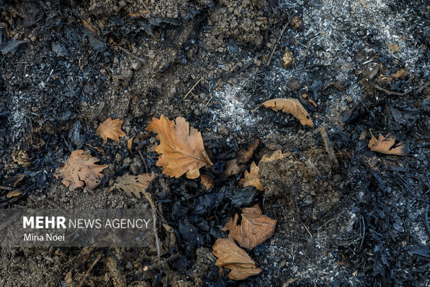 دیزمار پس از آتش