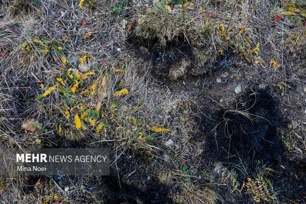 دیزمار پس از آتش