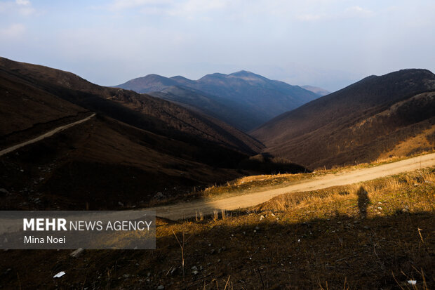 روایتی از آتش‌سوزی جنگل‌های دیزمار