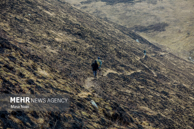 دیزمار پس از آتش