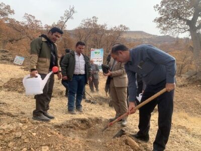 تولید ۸۰۰ هزار نهال در کهگیلویه و بویراحمد؛ کاشت نهال به نام هر بسیجی