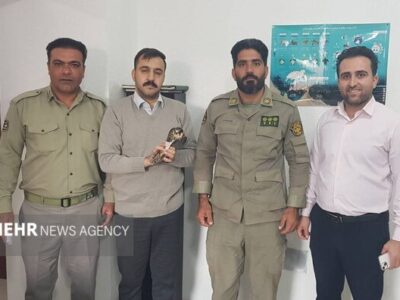 تحویل پرنده شکاری تحت حمایت به محیط زیست بوشهر