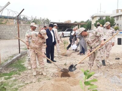 ۵۰۰ درخت در هنگ مرزی دهلران غرس شد