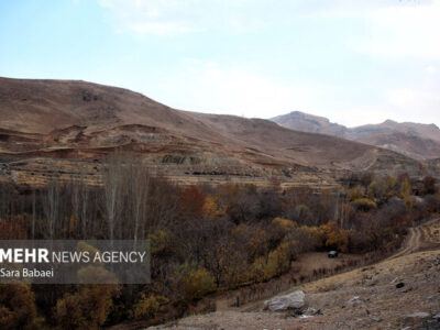 جلوه‌های برگریزان پاییزی در کرمانشاه