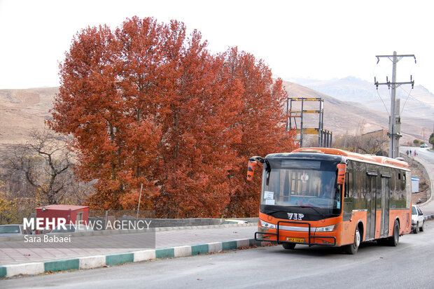 جلوه‌های برگریزان پاییزی در کرمانشاه