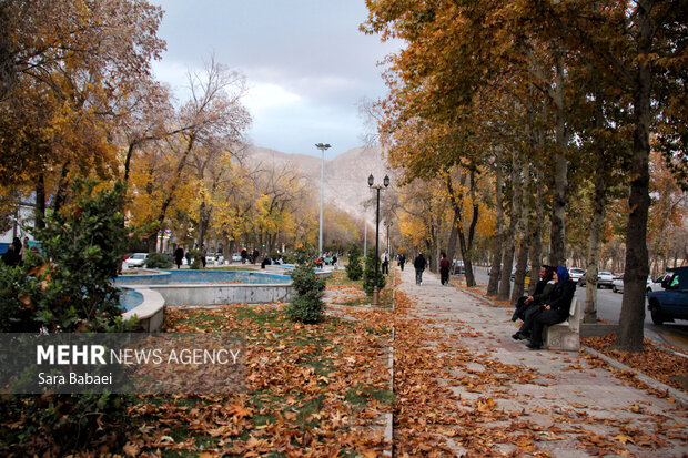 جلوه‌های برگریزان پاییزی در کرمانشاه