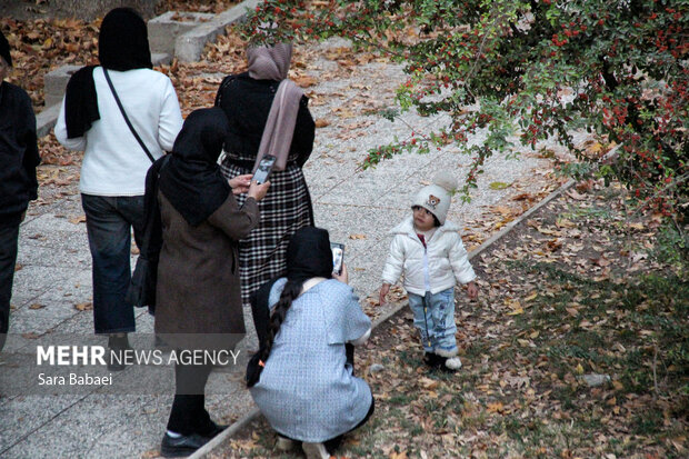 جلوه‌های برگریزان پاییزی در کرمانشاه