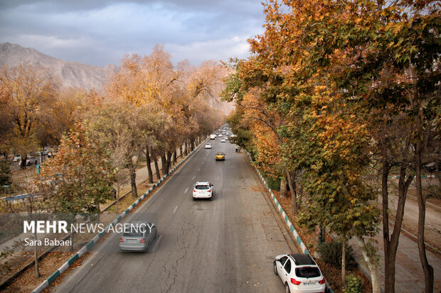 جلوه‌های برگریزان پاییزی در کرمانشاه