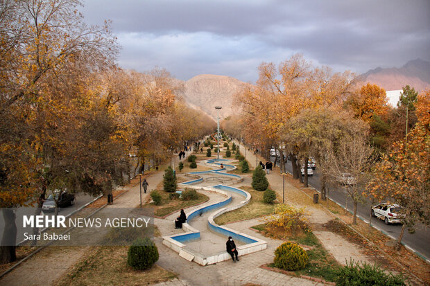 جلوه‌های برگریزان پاییزی در کرمانشاه