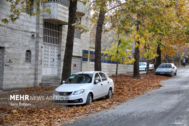 جلوه‌های برگریزان پاییزی در کرمانشاه