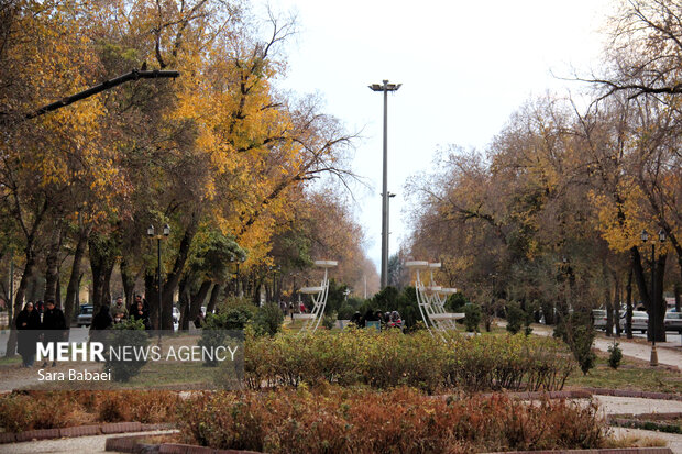 جلوه‌های برگریزان پاییزی در کرمانشاه