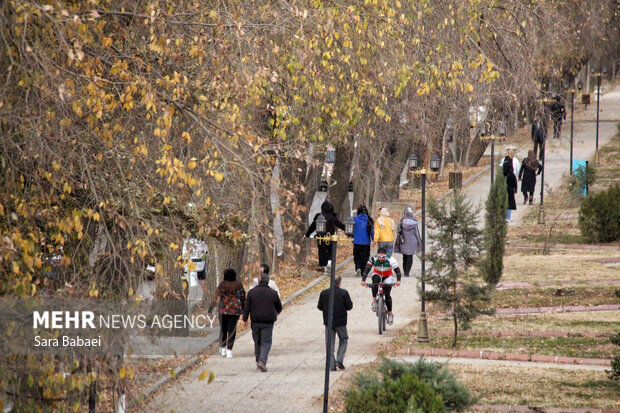 جلوه‌های برگریزان پاییزی در کرمانشاه