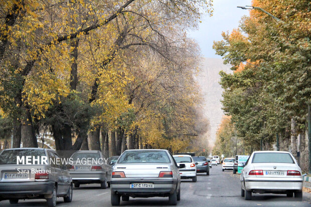 جلوه‌های برگریزان پاییزی در کرمانشاه