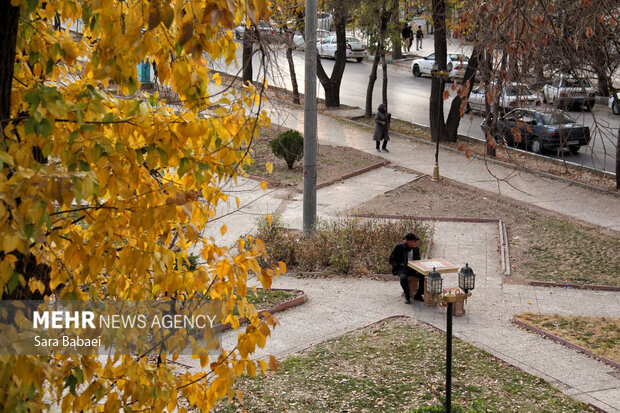 جلوه‌های برگریزان پاییزی در کرمانشاه