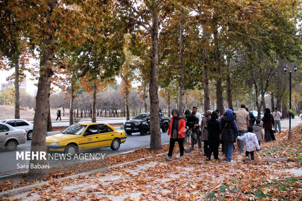 جلوه‌های برگریزان پاییزی در کرمانشاه