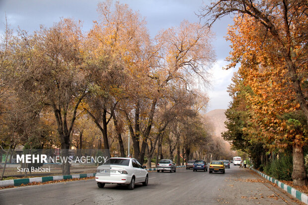 جلوه‌های برگریزان پاییزی در کرمانشاه