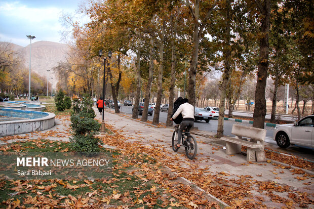 جلوه‌های برگریزان پاییزی در کرمانشاه