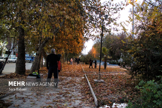 جلوه‌های برگریزان پاییزی در کرمانشاه
