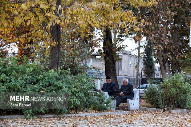 جلوه‌های برگریزان پاییزی در کرمانشاه