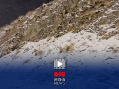 گزارش خبرنگار مهر از بارش برف در جاده چالوس