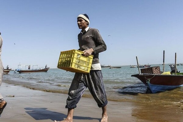 مکران؛ محور طلایی صید و اقتصاد دریایی ایران با اشتغال ۳۲ هزار صیاد