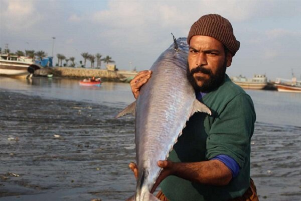 مکران؛ محور طلایی صید و اقتصاد دریایی ایران با اشتغال ۳۲ هزار صیاد