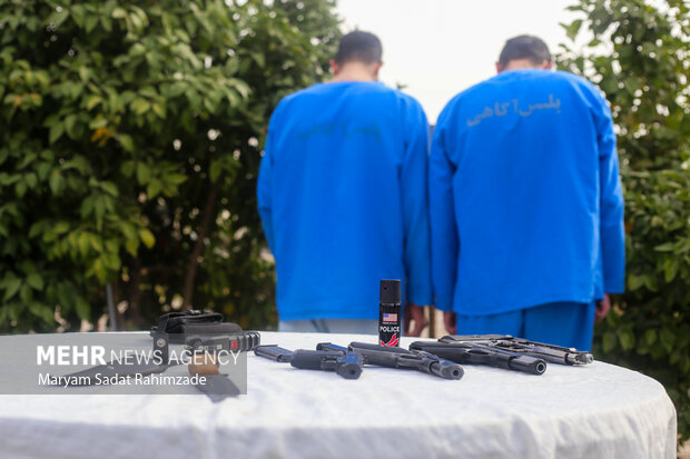 کشفیات پلیس فارس در حوزه سرقت، جعل و کلاهبرداری