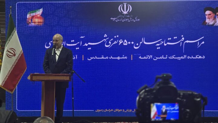 رئیس مجلس: ورزش بزرگ‌ترین سرمایه اجتماعی کشور است