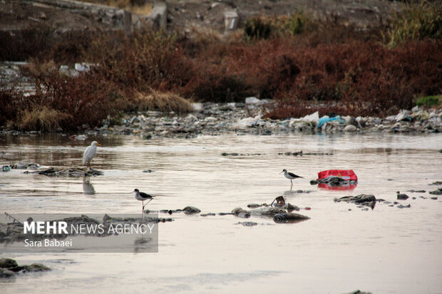 وضعیت نامطلوب قره‌سو؛ از انباشت زباله تا ورود فاضلاب شهری