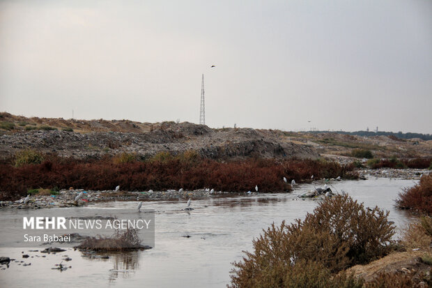 وضعیت نامطلوب قره‌سو؛ از انباشت زباله تا ورود فاضلاب شهری