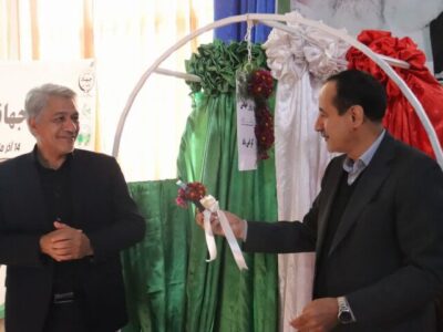 خاک بستر امنیت غذایی است؛ لزوم مشارکت جوانان در حفظ منابع طبیعی