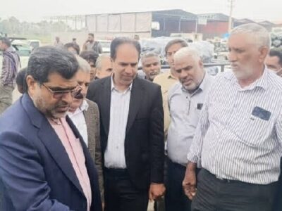 محسنی: کیفیت پایین بسته بندی محصولات کشاورزی موجب افت قیمت می‌شود