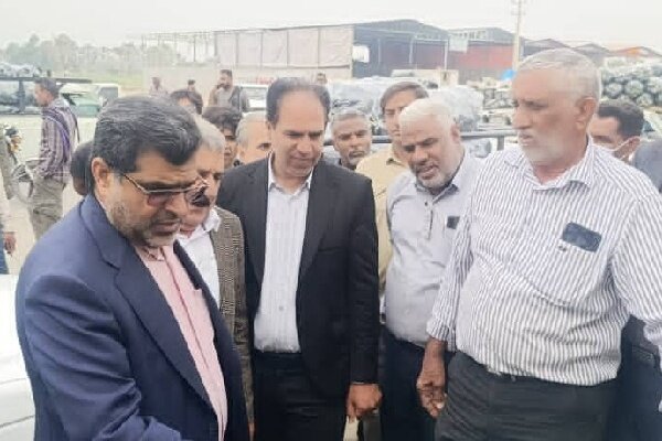 محسنی: کیفیت پایین بسته بندی محصولات کشاورزی موجب افت قیمت میشود
