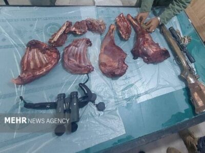 شکارچی غیرمجاز در دشتستان دستگیر شد
