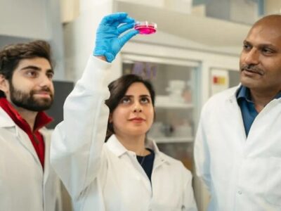 محقق ایرانی روش نوینی برای درمان زخم و تولید گوشت ابداع کرد